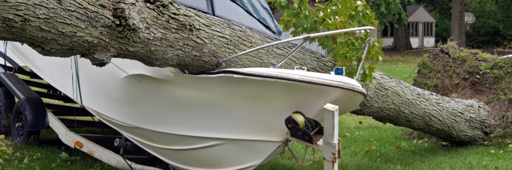 boat damaged by a fallen tree